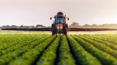 Çiftçiye Yeni Destek Müjdesi: Soya Üretimine Ek Ödeme! - Haber Trend